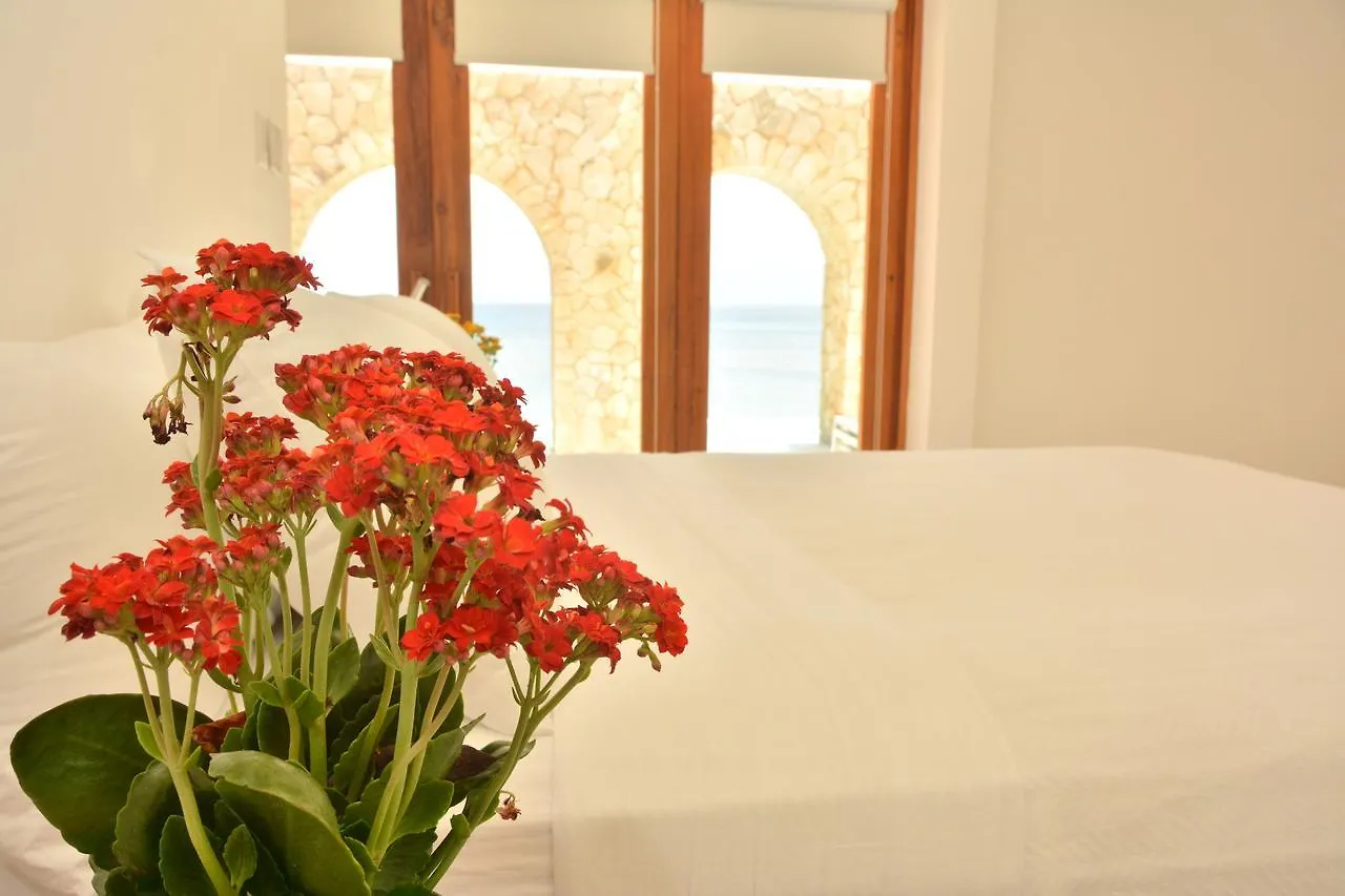 Vila Pattoo Castle Negril 0*,